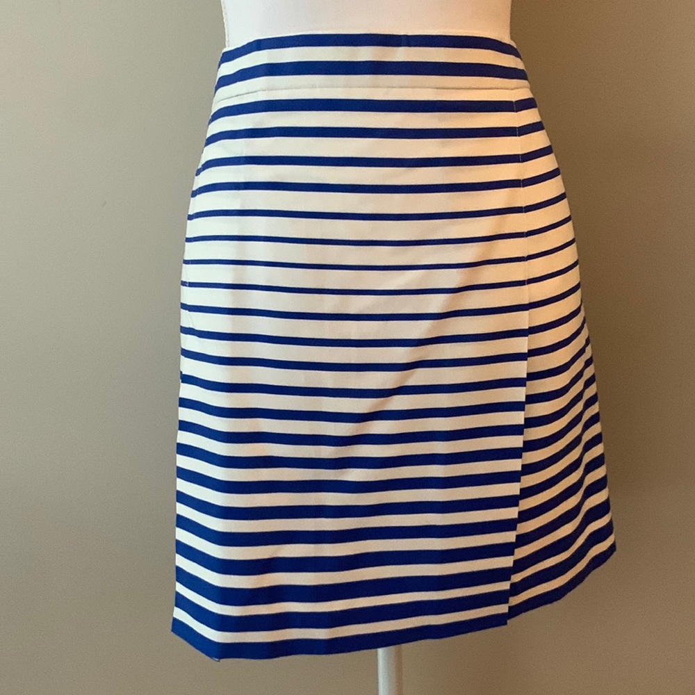 BR Mini Skirt